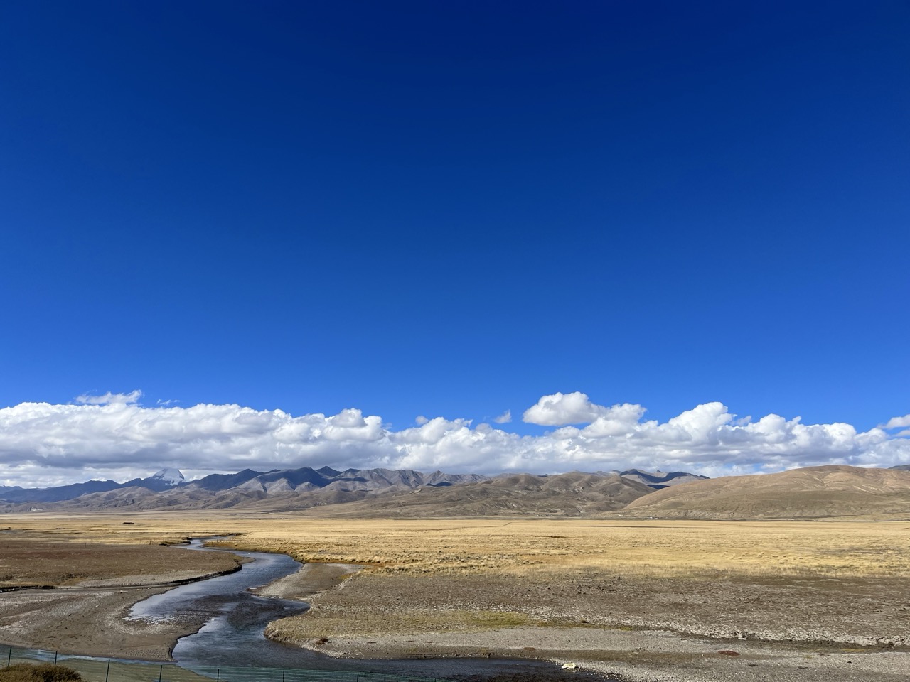 ali_9299-1773048329653