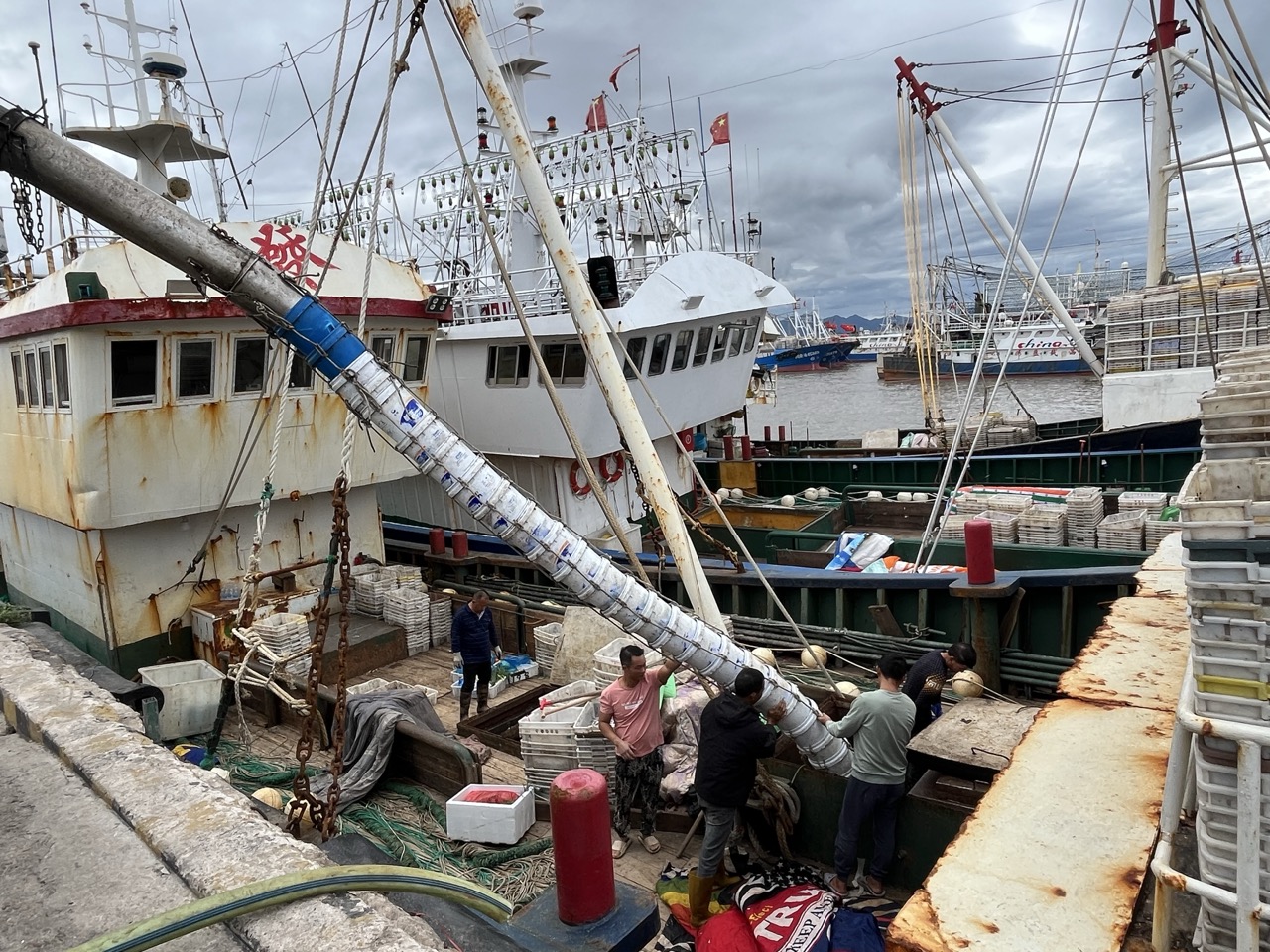 xp_5567